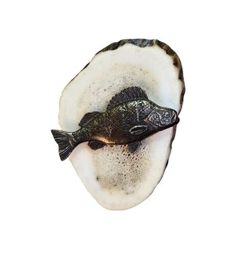 bolo parohové - řez