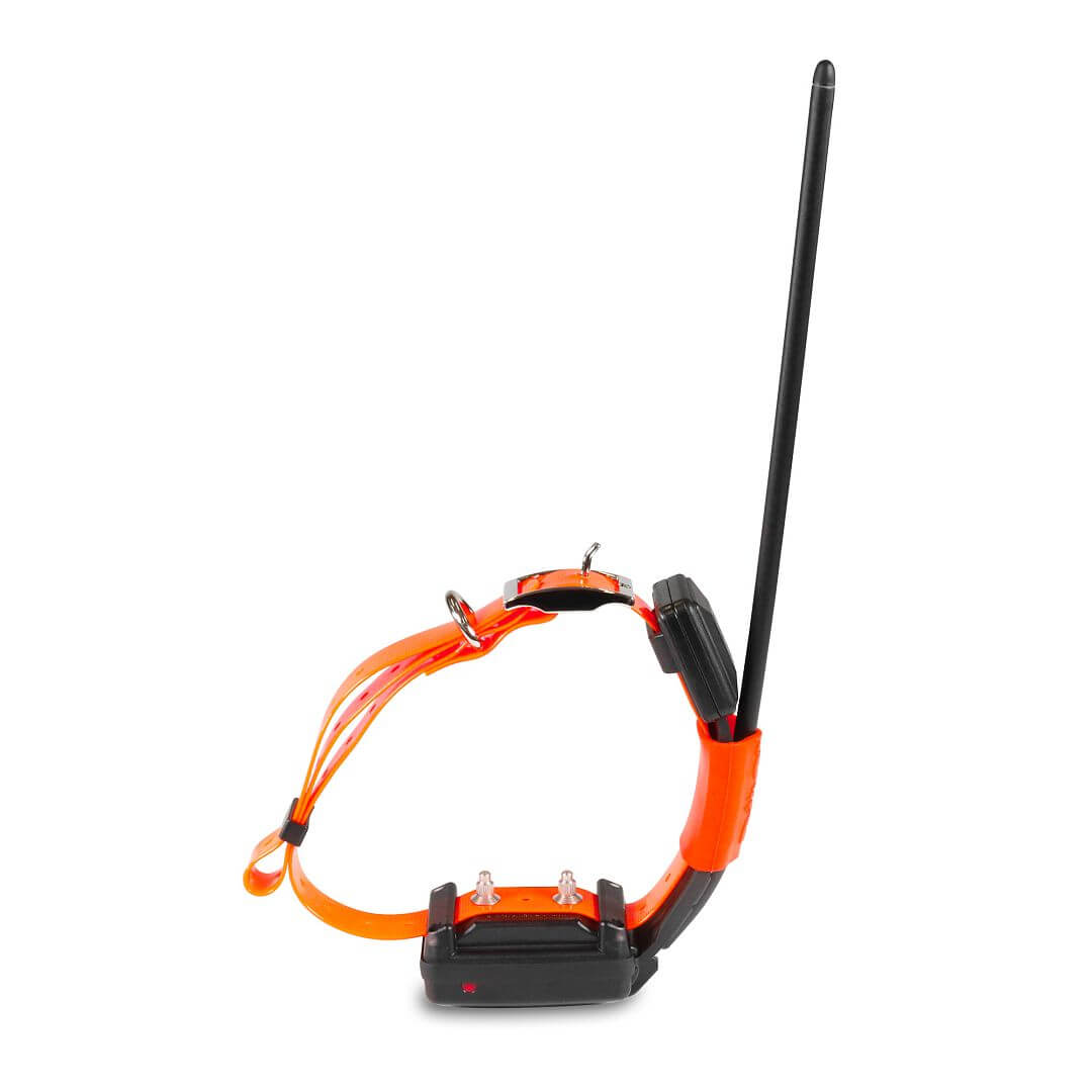 DOG GPS X30T Short Dogtrace - obojek pro dalšího psa